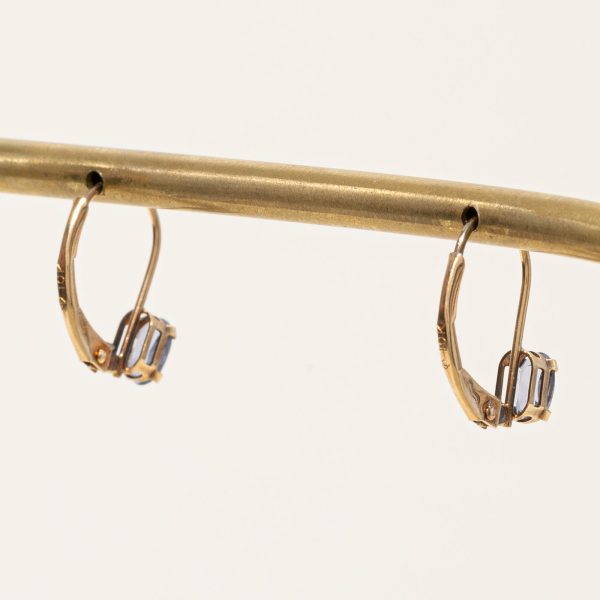 Iolite Lever Back Earrings | 0.30ctw | on Sale