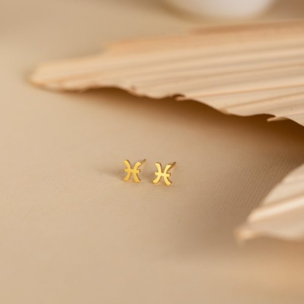 Tiny Zodiac Studs Discount