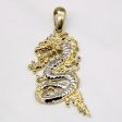 10k Two Tone Gold Dragon Pendant with Garnet Eye | 0.005ct | Online Sale