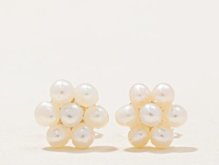 100 Ways  Freshwater Pearl Earrings For Cheap