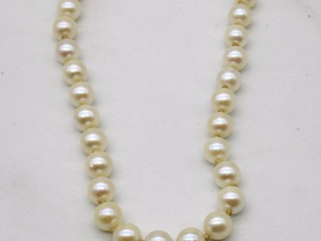 Pearl Necklace | 5.50mm | 17  | For Discount