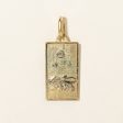 Enamel Star & Lion Pendant | Online Sale