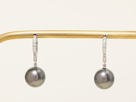 Mikimoto  Classic Elegance Black South Sea Pearl and Diamond Earrings | 10-10.5mm, 0.20ctw | Online Sale